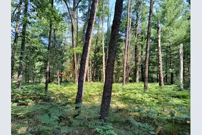 728 W 32nd Street #Parcel B, Baldwin, MI 49304 - Photo 6