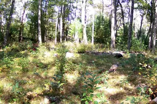 4393 E 8th St, White Cloud, MI 49349 - Photo 72