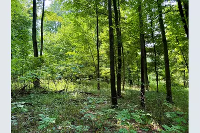 V/L Banfield Road, Battle Creek, MI 49017 - Photo 46