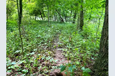 V/L Banfield Road, Battle Creek, MI 49017 - Photo 50