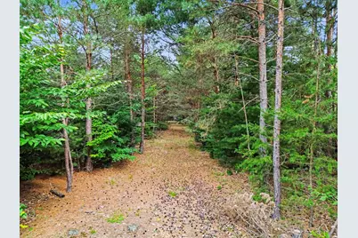 8732 Aylsworth Road, Benzonia, MI 49616 - Photo 4
