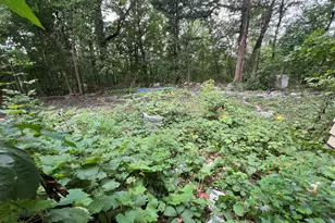 415 Wilson Ave SW, Walker, MI 49534 - Photo 12
