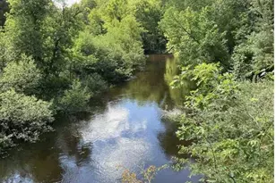 S Forward Rd, Falmouth, MI 49632 - Photo 1