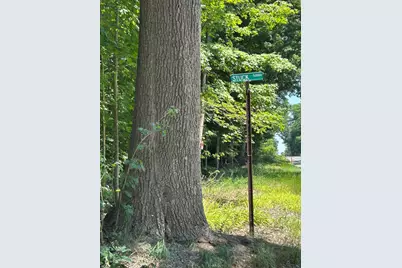 Stuck Road, Marcellus, MI 49067 - Photo 1