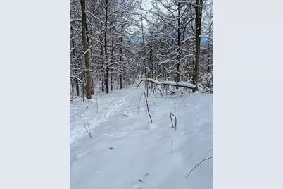 Stuck Road, Marcellus, MI 49067 - Photo 26