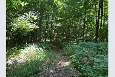 Stuck Road, Marcellus, MI 49067 - Photo 24