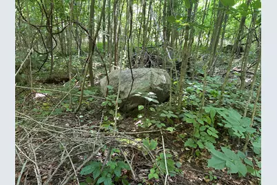 Stuck Road, Marcellus, MI 49067 - Photo 10