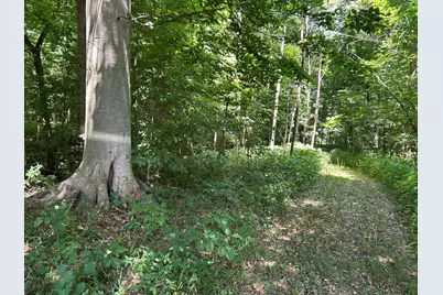 Stuck Road, Marcellus, MI 49067 - Photo 14