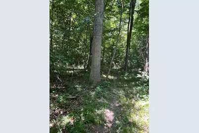 Stuck Road, Marcellus, MI 49067 - Photo 20