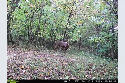 Stuck Road, Marcellus, MI 49067 - Photo 4