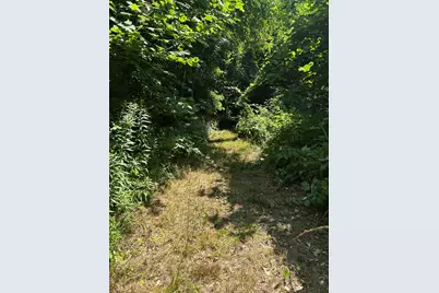 Stuck Road, Marcellus, MI 49067 - Photo 22