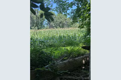 Stuck Road, Marcellus, MI 49067 - Photo 18