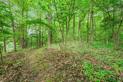 V/L E Lake Drive, Hesperia, MI 49421 - Photo 6