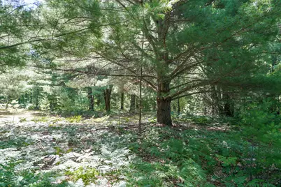 11775 Country Acres Drive, Interlochen, MI 49643 - Photo 20