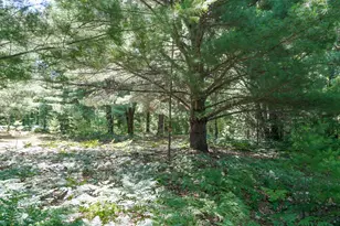 11775 Country Acres Dr, Interlochen, MI 49643 - Photo 20