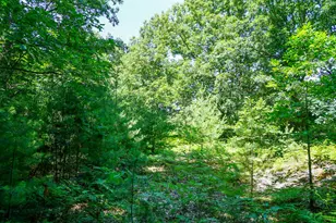 11775 Country Acres Dr, Interlochen, MI 49643 - Photo 24