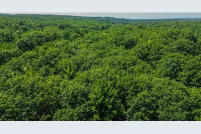 11775 Country Acres Drive, Interlochen, MI 49643 - Photo 14