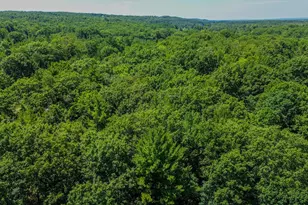 11775 Country Acres Dr, Interlochen, MI 49643 - Photo 14