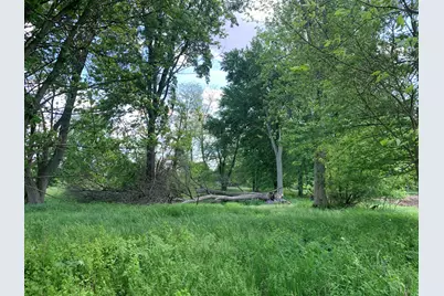Brink Road, Bronson, MI 49028 - Photo 1
