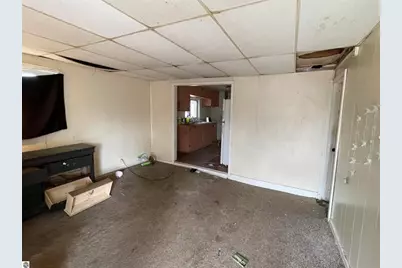 314 E Pine Street, Cadillac, MI 49601 - Photo 26