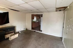 314 E Pine St, Cadillac, MI 49601 - Photo 26