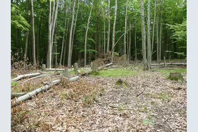 9310 S Benjamin Drive, Newaygo, MI 49337 - Photo 2