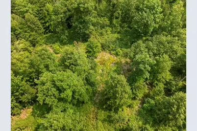 000 S Thompsonville Highway, Thompsonville, MI 49683 - Photo 4