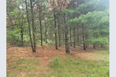 S Outaway Drive, Newaygo, MI 49337 - Photo 2