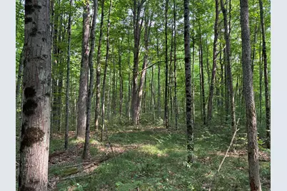 V/L E Jackson Street, White Cloud, MI 49349 - Photo 12