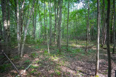 5255 Holton Road, Twin Lake, MI 49457 - Photo 26
