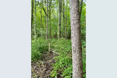 Lot 6 Christopher Lane, South Haven, MI 49090 - Photo 8