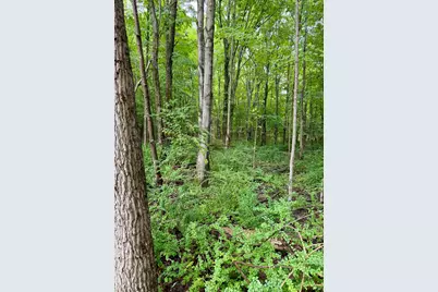 Lot 6 Christopher Lane, South Haven, MI 49090 - Photo 6