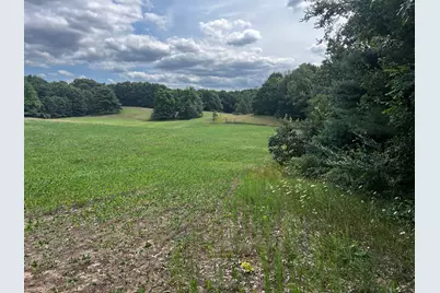 Vl Day Road, Bellevue, MI 49021 - Photo 6