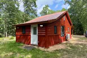 4472 James St, Wellston, MI 49689 - Photo 6