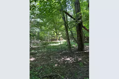 Lot 1 Christopher Lane, South Haven, MI 49090 - Photo 10