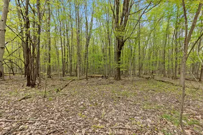 00 6th Avenue, Bloomingdale, MI 49026 - Photo 20