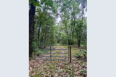 V/L Round Lake Drive #Parcel 17, Holton, MI 49425 - Photo 2