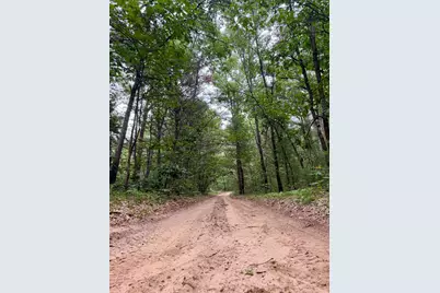 V/L Round Lake Drive #Parcel 17, Holton, MI 49425 - Photo 12