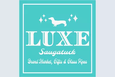 146 Butler Street, Saugatuck, MI 49453 - Photo 16