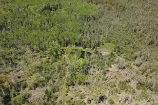1710 Miller Rd, Lincoln, MI 48742 - Photo 38