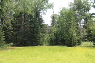 1710 Miller Rd, Lincoln, MI 48742 - Photo 54