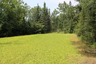 1710 Miller Rd, Lincoln, MI 48742 - Photo 52
