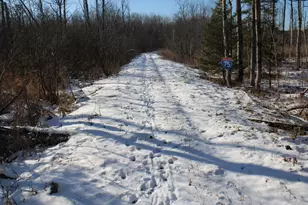 1710 Miller Rd, Lincoln, MI 48742 - Photo 60