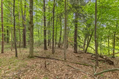 V/L W Stanton, Stanton, MI 48888 - Photo 14