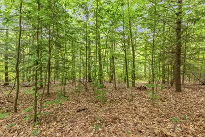 V/L W Stanton, Stanton, MI 48888 - Photo 18