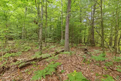 V/L W Stanton, Stanton, MI 48888 - Photo 26