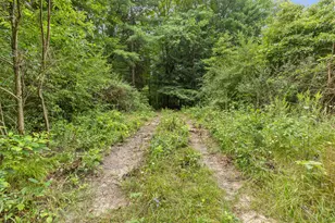 V/L W Stanton, Stanton, MI 48888 - Photo 1