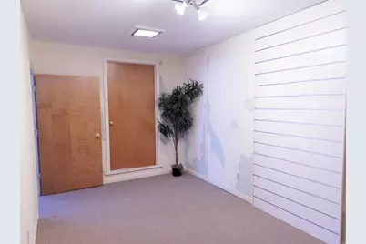 208 W Erie Street, Albion, MI 49224 - Photo 44