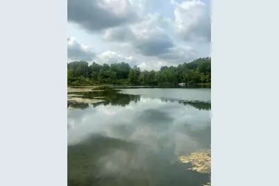 Lot #84 W Rimkus Drive, Irons, MI 49644 - Photo 8