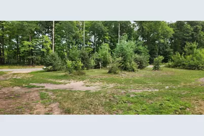 2984 W Pierce Drive, Brohman, MI 49312 - Photo 30